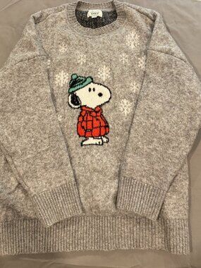 American Eagle Medium Snoopy Oversized Sweater XL